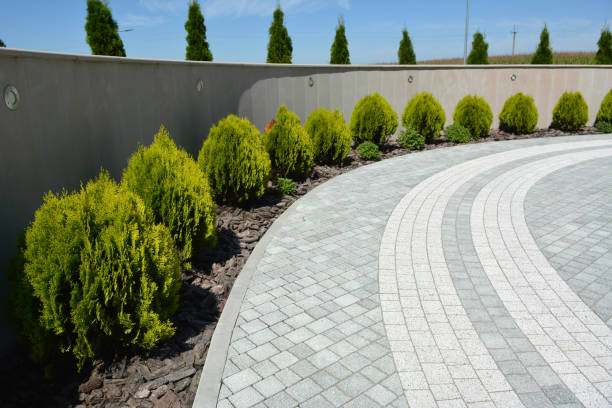 Best Cobblestone Driveway Pavers  in Navasota, TX